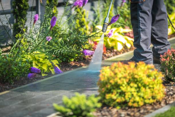 Best Dumpster Area Cleaning  in Dinuba, CA