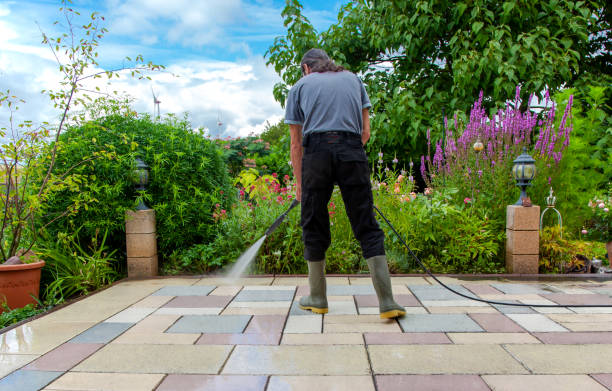 Best Driveway Pressure Washing  in Dinuba, CA